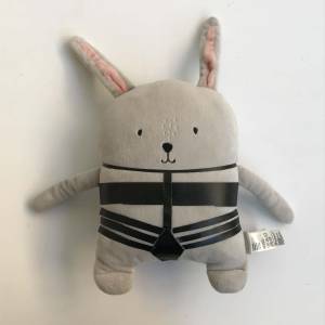 The bunnies in the room gallery 1