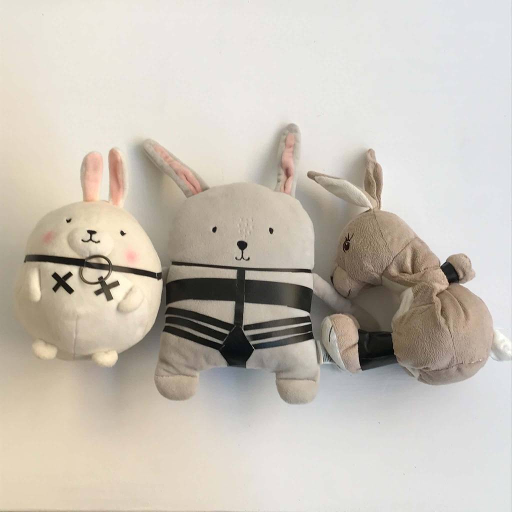 The bunnies in the room