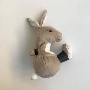 The bunnies in the room gallery 2