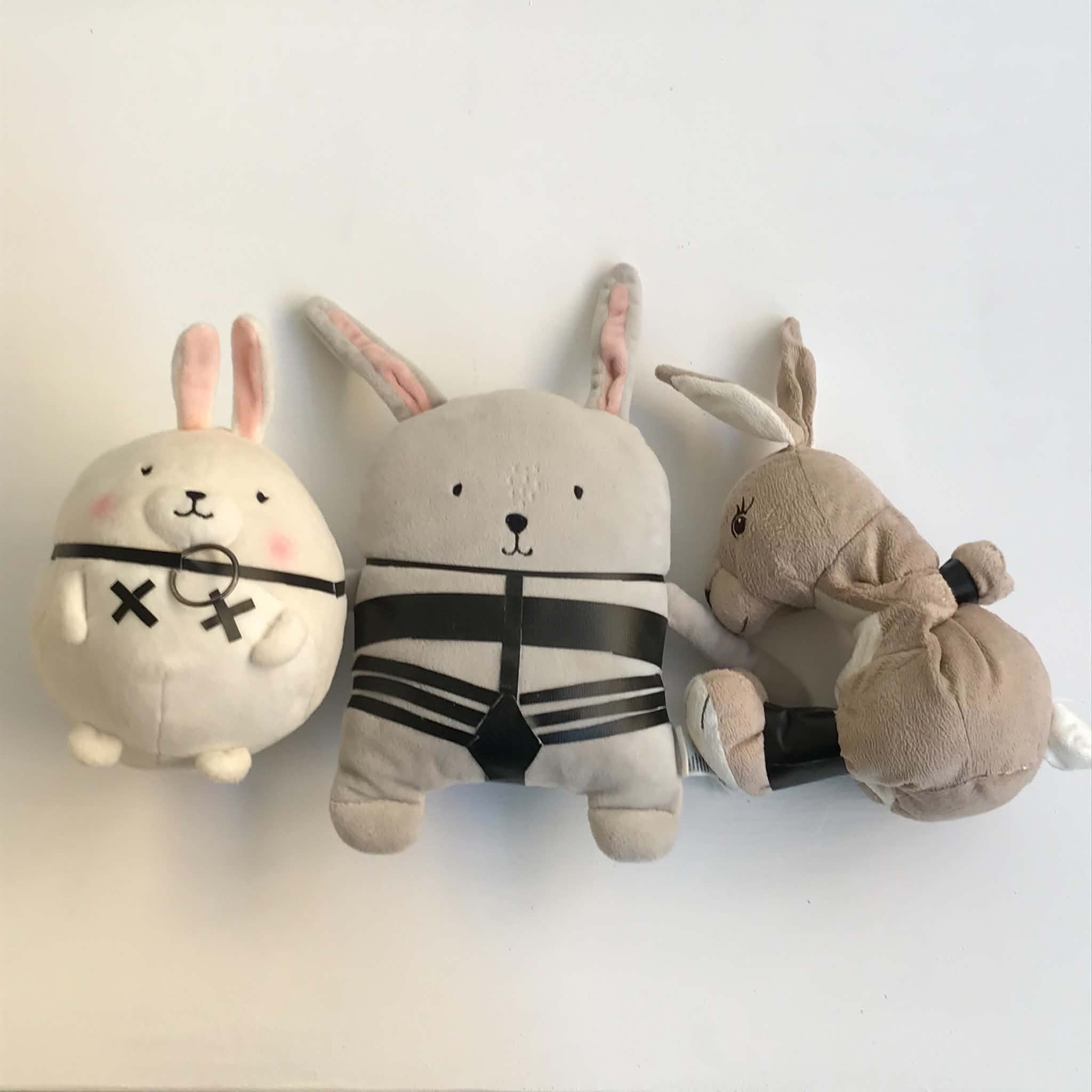 The bunnies in the room