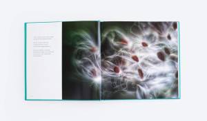 An affair of flowers gallery 2