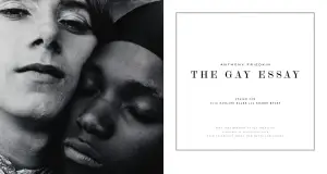 The gay essay gallery 2