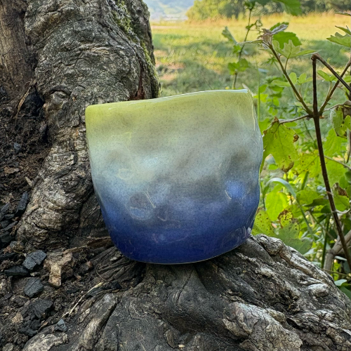 S container green blue